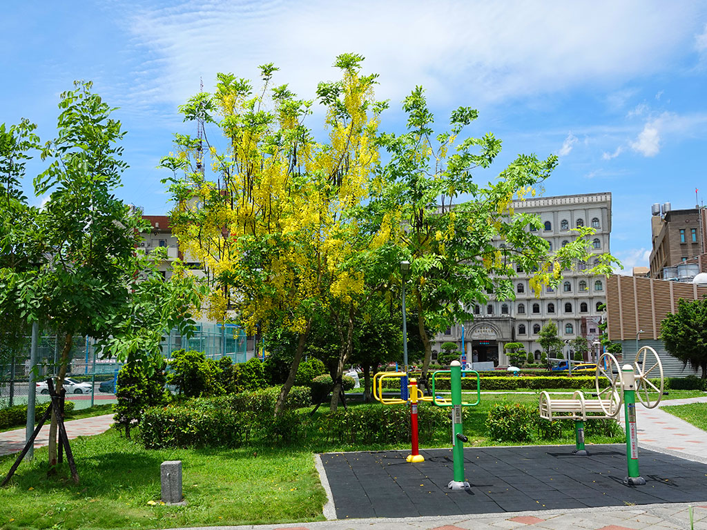 蘆洲蘆洲公園照片