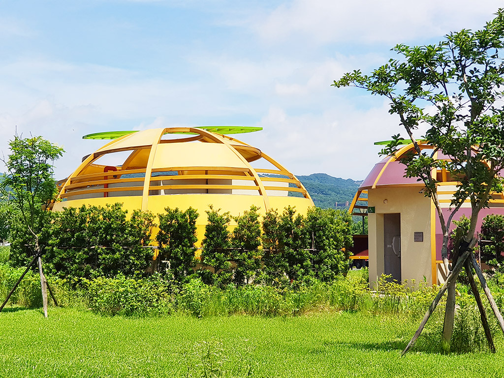 金山流蘇公園照片