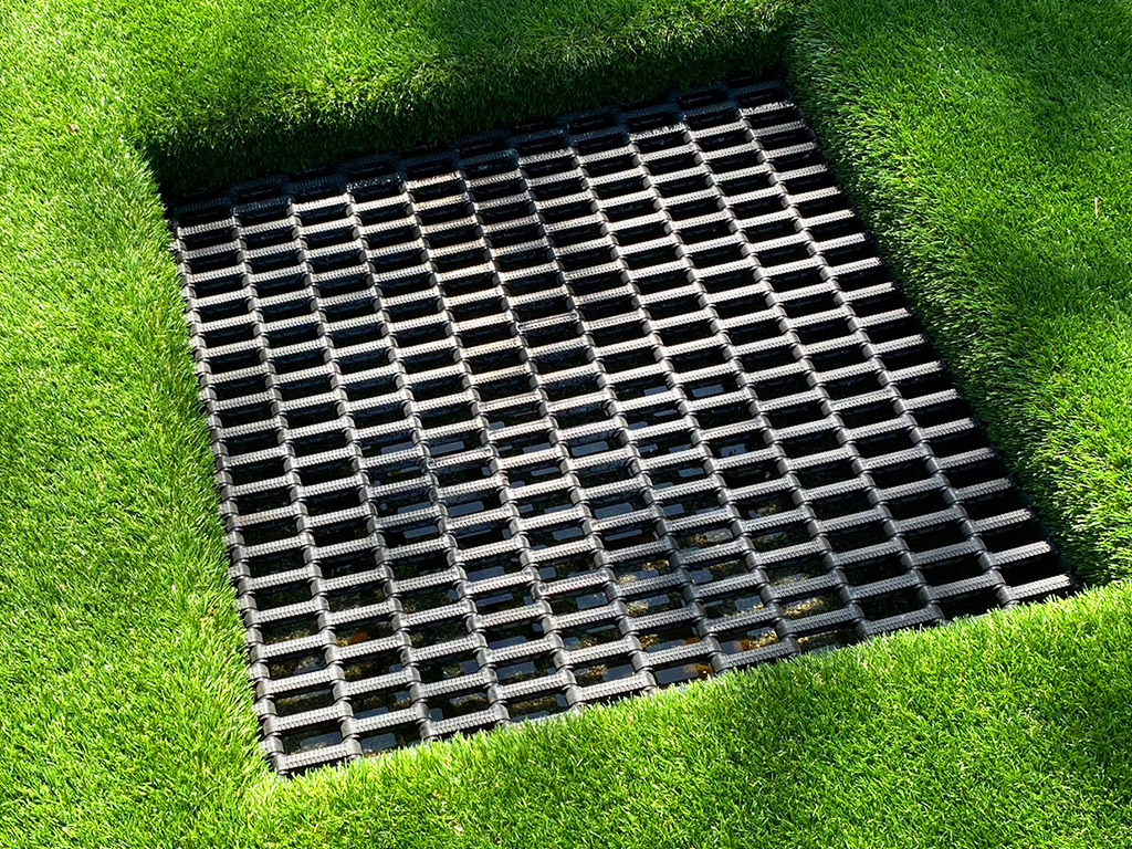 三峽海洋公園照片