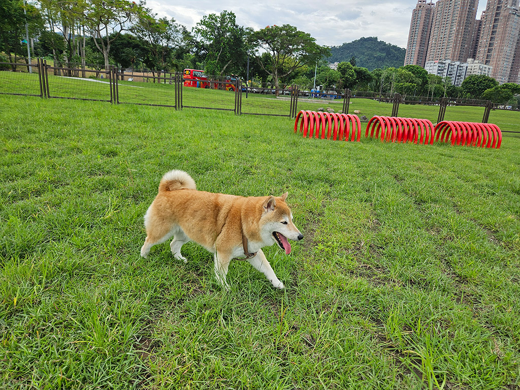 新店親情河濱公園現場照片