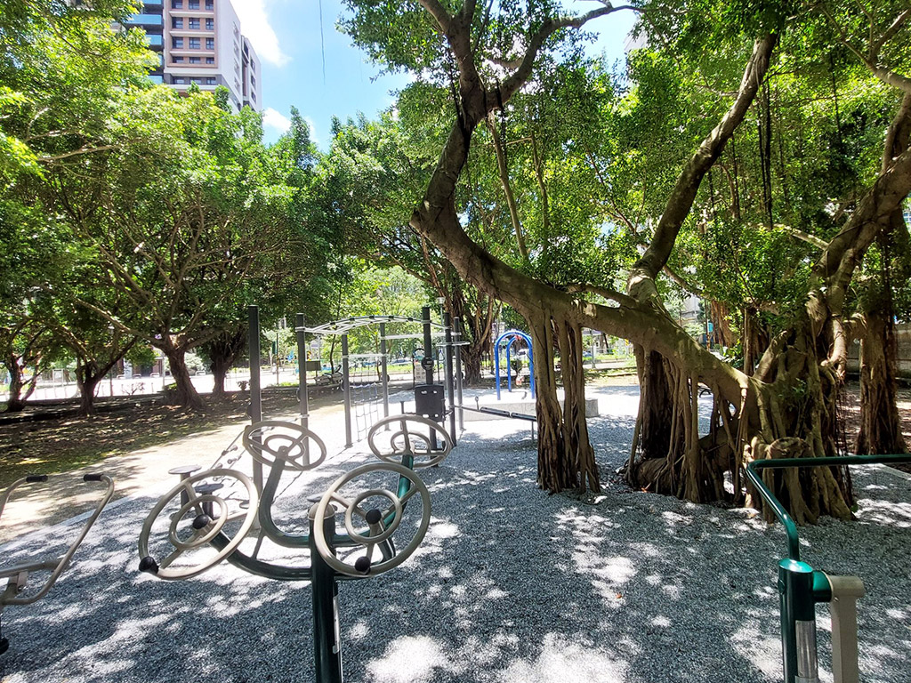 新店公14公園現場照片